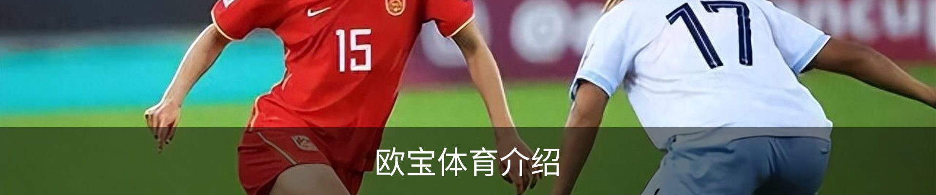 欧宝体育介绍