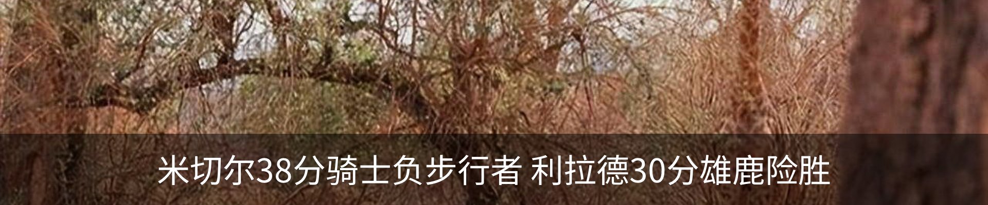 新闻中心